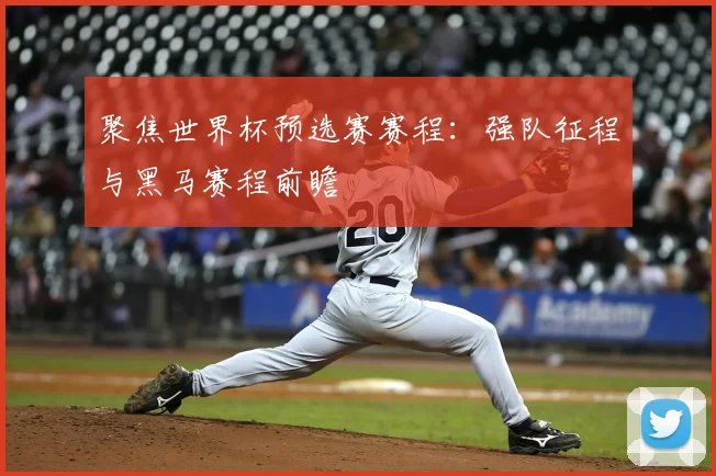 聚焦世界杯预选赛赛程：强队征程与黑马赛程前瞻