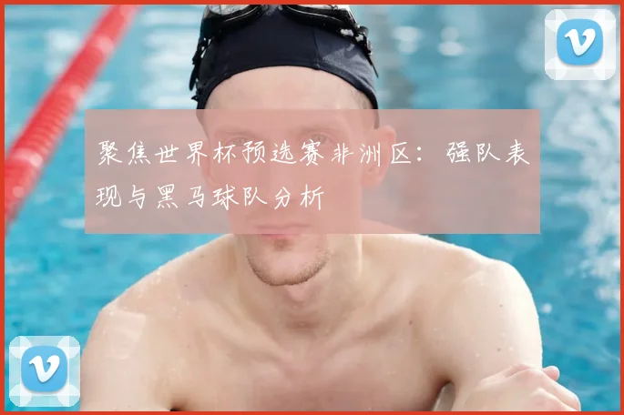 聚焦世界杯预选赛非洲区：强队表现与黑马球队分析