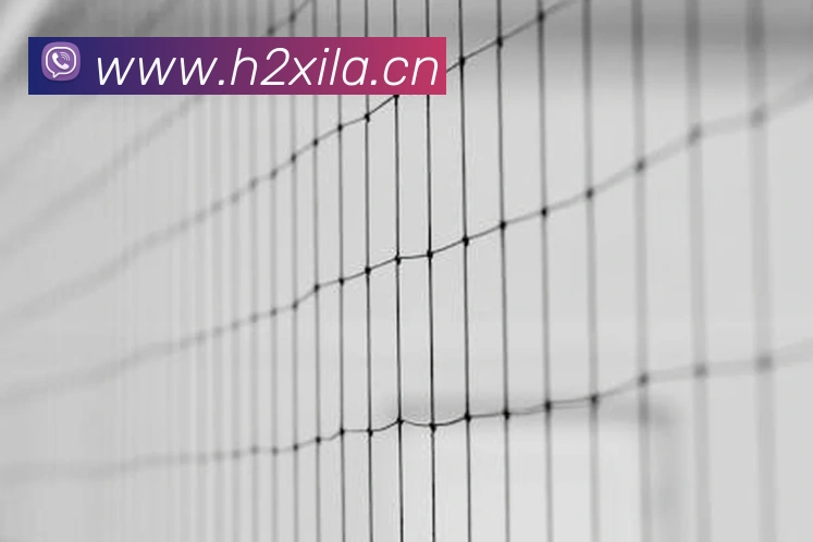 云开体育app网页入口APP 封面图